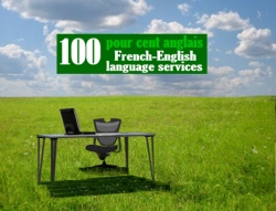 Screenshot from CentPourCentAnglais website